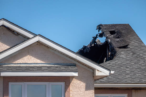 Top rated local Board Up Services specialists in Stanchfield, MN